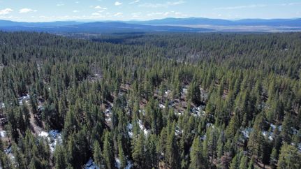 Undeveloped Land in Klamath County, Oregon