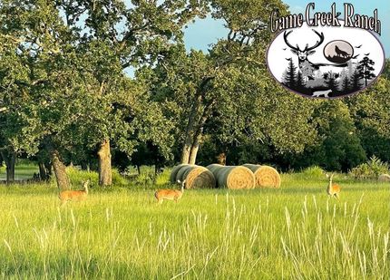 Land in Navarro County, Texas