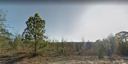 Farm and Ranch in Putnam County, Florida