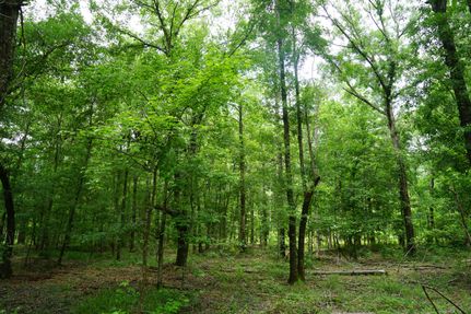 Recreational Property in Montgomery County, Alabama