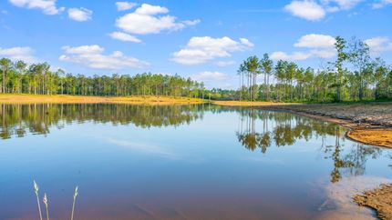 Waterfront Property in Pearl River County, Mississippi