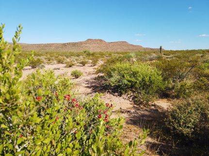 Recreational Property for sale in Hudspeth County, Texas
