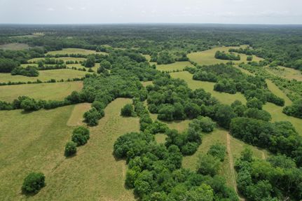 Farm and Ranch in Bullock County, Alabama