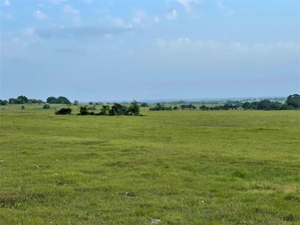 Undeveloped Land in Fayette County, Texas