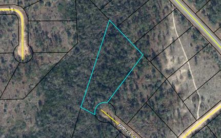 Farm and Ranch in Jackson County, Florida