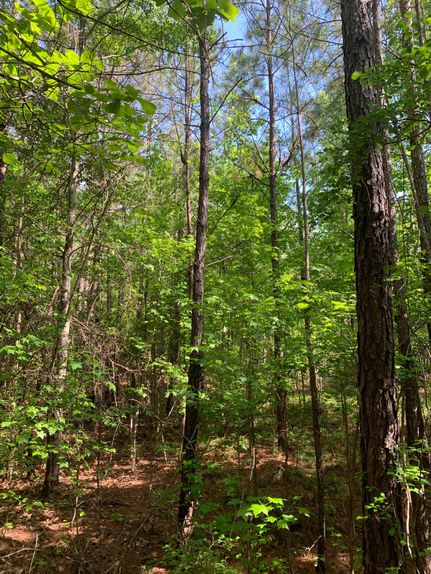 Land in Kershaw County, South Carolina