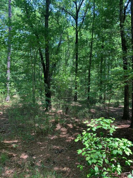 Farm and Ranch in Kershaw County, South Carolina