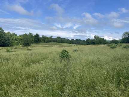 Undeveloped Land in Sharp County, Arkansas
