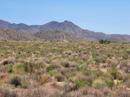 Recreational Property in Mohave County, Arizona