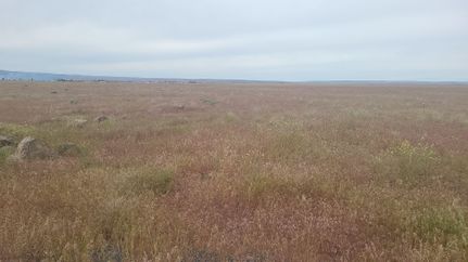 Farm and Ranch in Grant County, Washington
