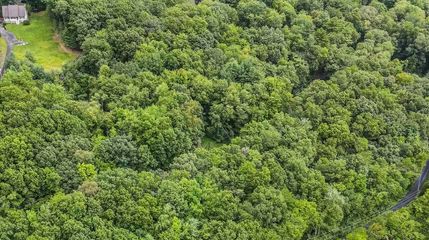 Undeveloped Land in Pike County, Pennsylvania