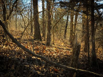 Recreational Property in Benton County, Missouri