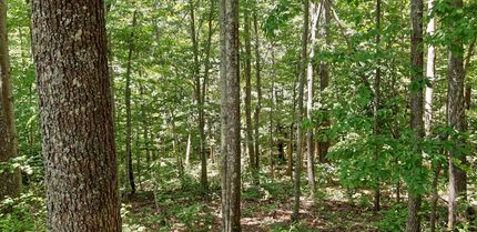 Farm and Ranch in Roane County, West Virginia