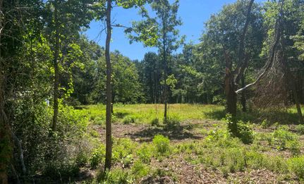 Recreational Property in Leon County, Texas