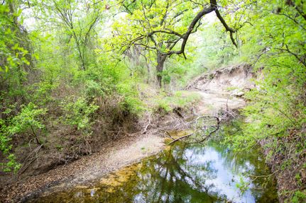 Riverfront Property in Comanche County, Texas