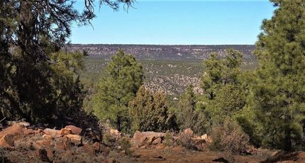 Undeveloped Land in San Miguel County, New Mexico