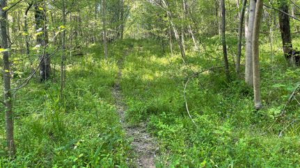 Timberland Property in Washington County, Ohio