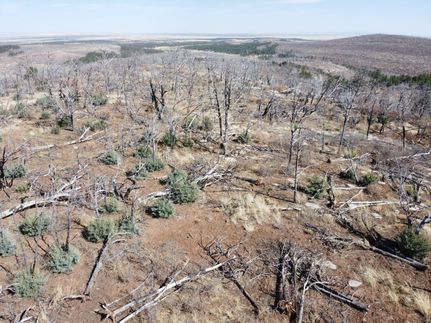 Hunting Property in Torrance County, New Mexico