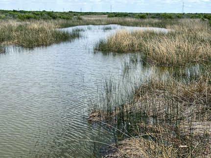 Farm and Ranch in Archer County, Texas