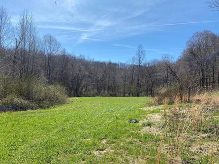 Hunting Property in Franklin County, Alabama