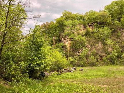Farm and Ranch in Winona County, Minnesota