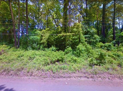 Undeveloped Land in Sabine County, Texas