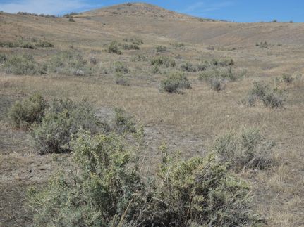 Recreational Property in Rosebud County, Montana