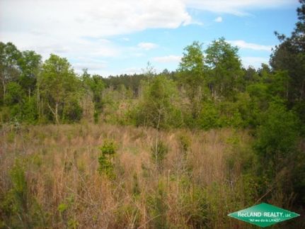 Hunting Property in Winn Parish, Louisiana