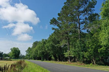 Timberland Property in Brunswick County, North Carolina