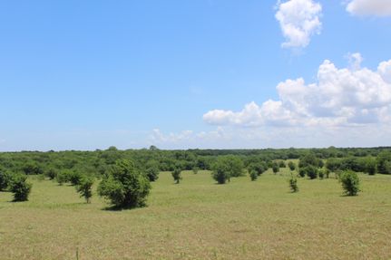 Undeveloped Land in Hunt County, Texas