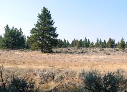 Undeveloped Land in Klamath County, Oregon