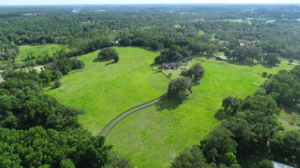 Timberland Property in Marion County, Florida
