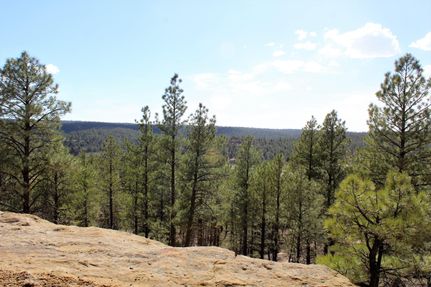 Land in Sandoval County, New Mexico