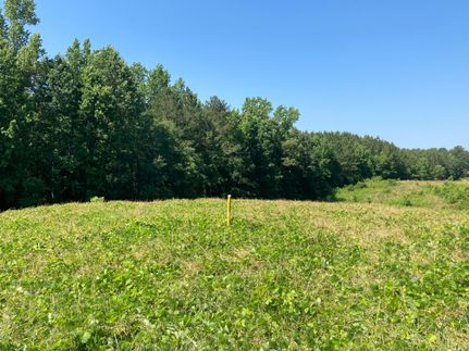 Undeveloped Land in Tallapoosa County, Alabama