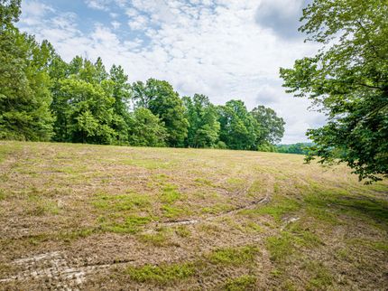 Farm and Ranch in Henderson County, Tennessee