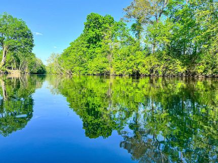 Riverfront Property in Cherokee County, Alabama