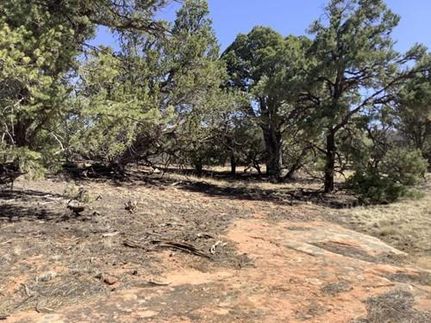 Farm and Ranch in Cibola County, New Mexico