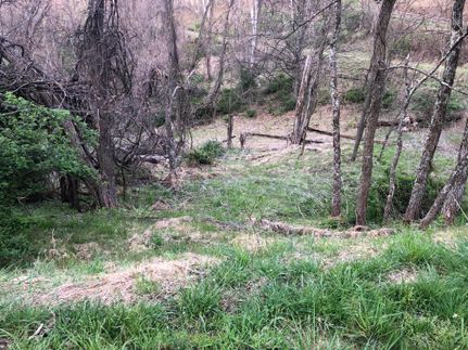Land in Hampshire County, West Virginia