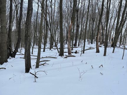 Land in Cambria County, Pennsylvania
