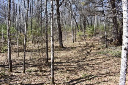 Farm and Ranch in Florence County, Wisconsin