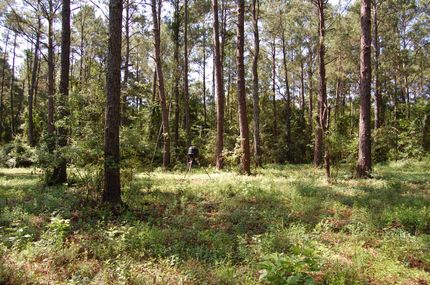 Farm and Ranch in Colquitt County, Georgia