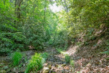 Recreational Property in Carroll County, Virginia