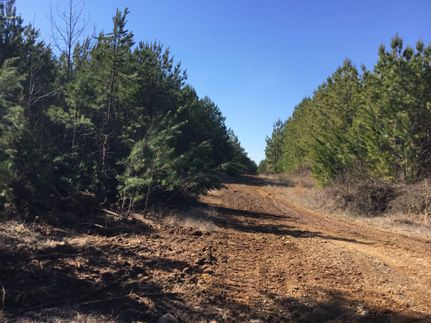 Timberland Property in Independence County, Arkansas