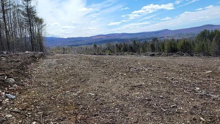 Timberland Property in Penobscot County, Maine