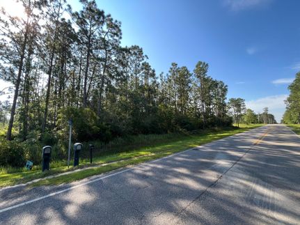 Undeveloped Land in Baldwin County, Alabama