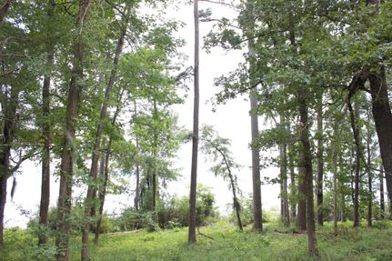 Commercial Property in Nacogdoches County, Texas