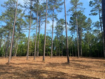 Farm and Ranch in Pike County, Alabama