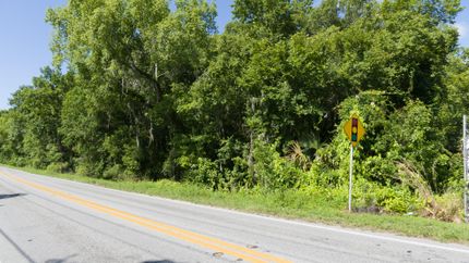 Farm and Ranch in Polk County, Florida