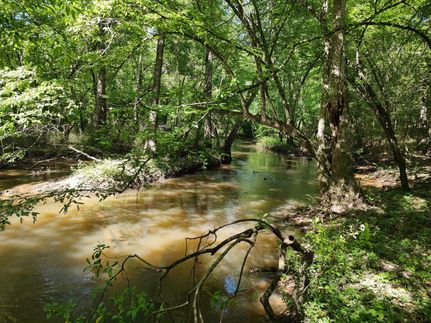 Timberland Property in Barbour County, Alabama