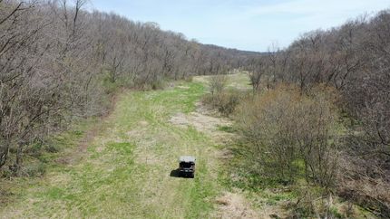 Timberland Property in Grant County, Wisconsin